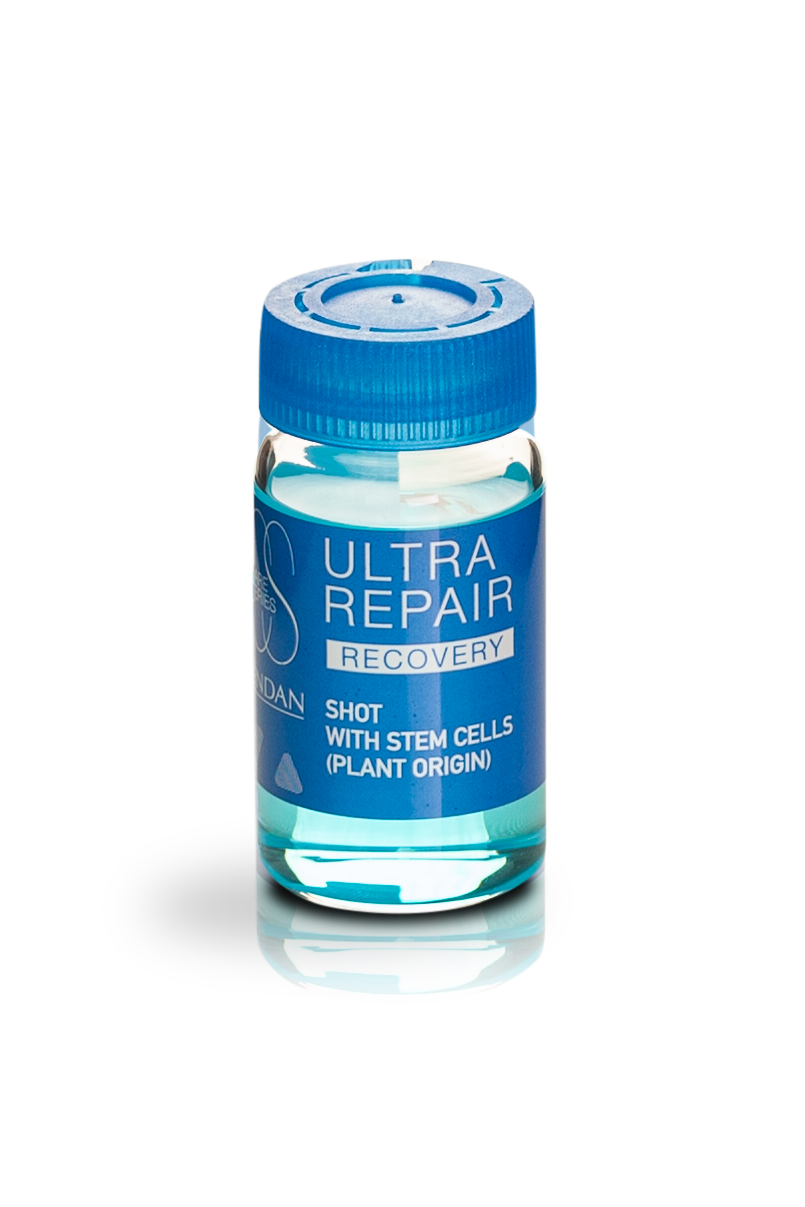 Ultra repair Lendan I Ampolla recovery unidad