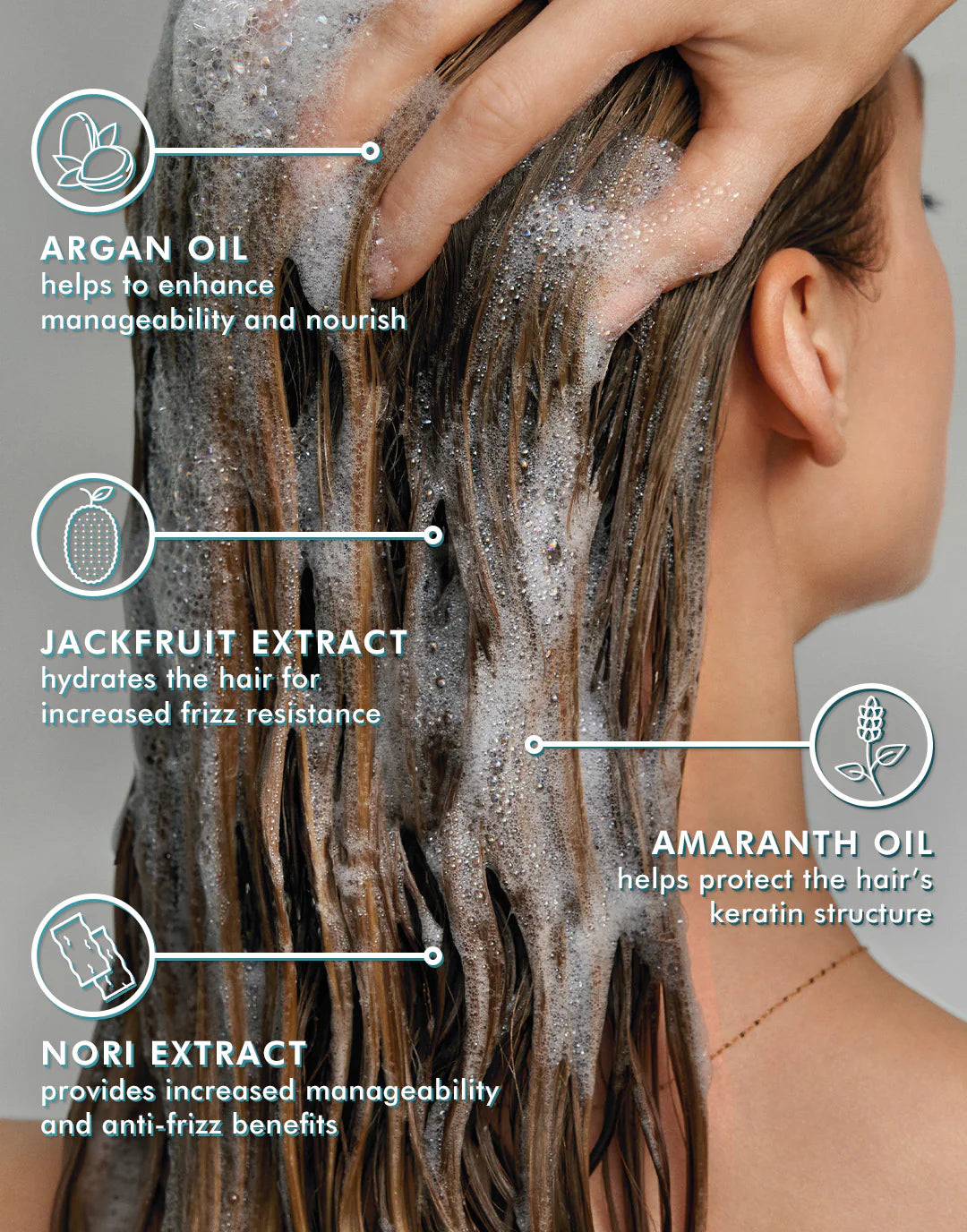 Frizz Control | Shampoo 8.5 Oz