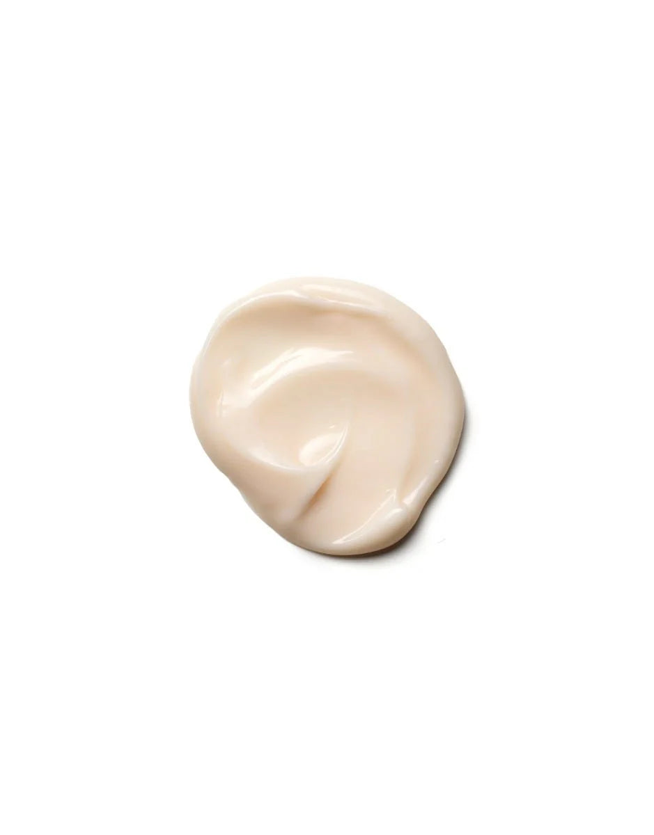 Moisture Repair | Conditioner