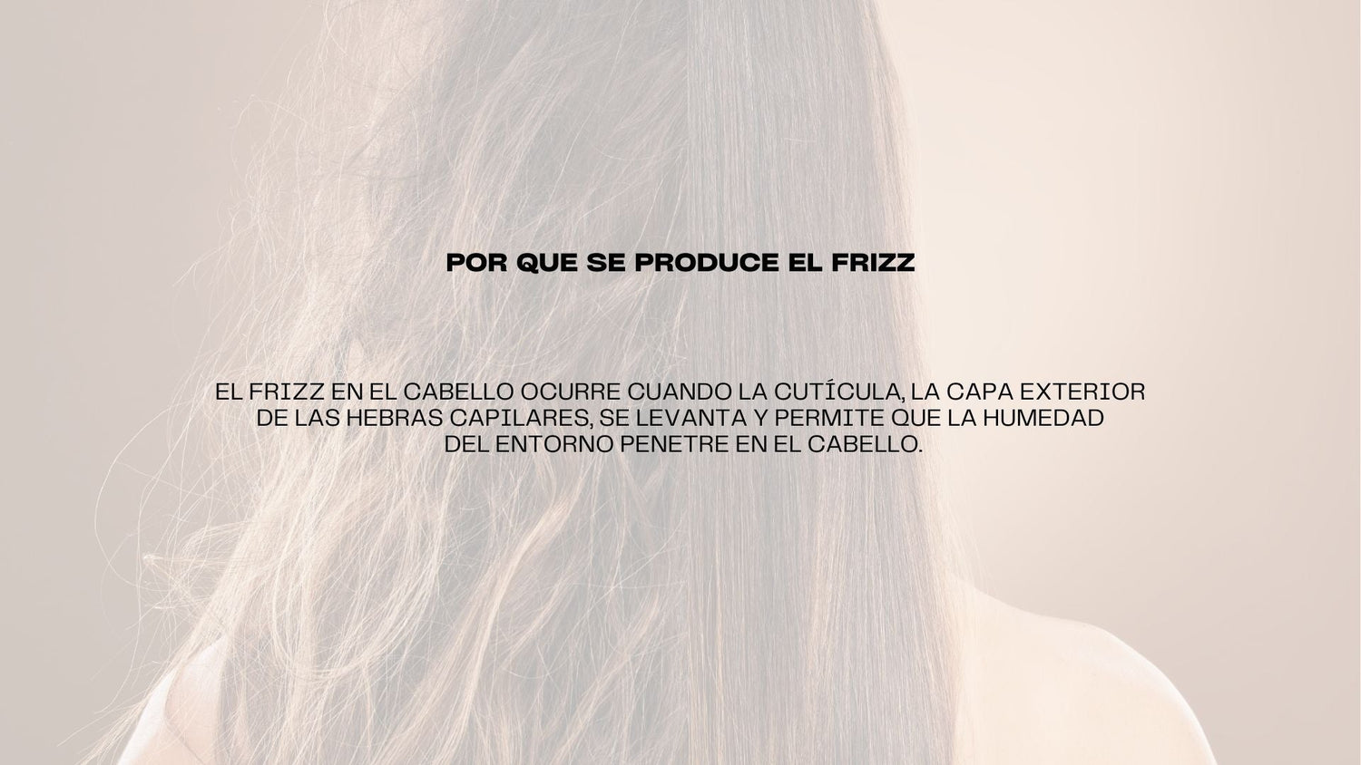 Productos para Control Frizz