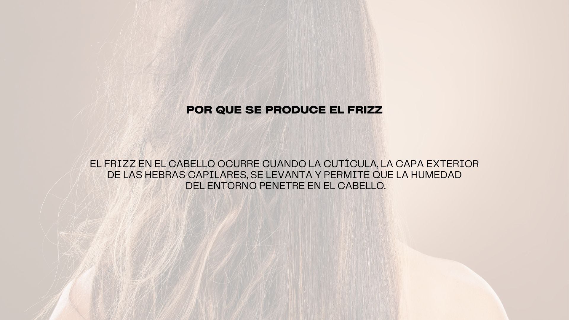 Productos para Control Frizz
